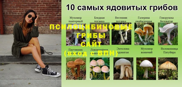 героин Богородицк